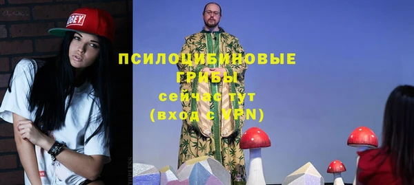 2c-b Елизово