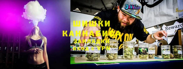 ПСИЛОЦИБИНОВЫЕ ГРИБЫ Шали